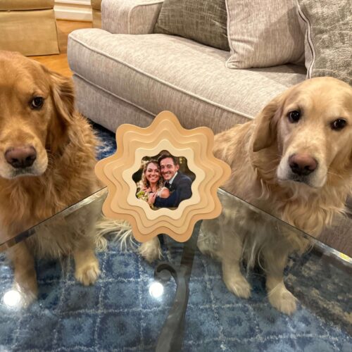 GG&JuJu_Dog Pics (1)