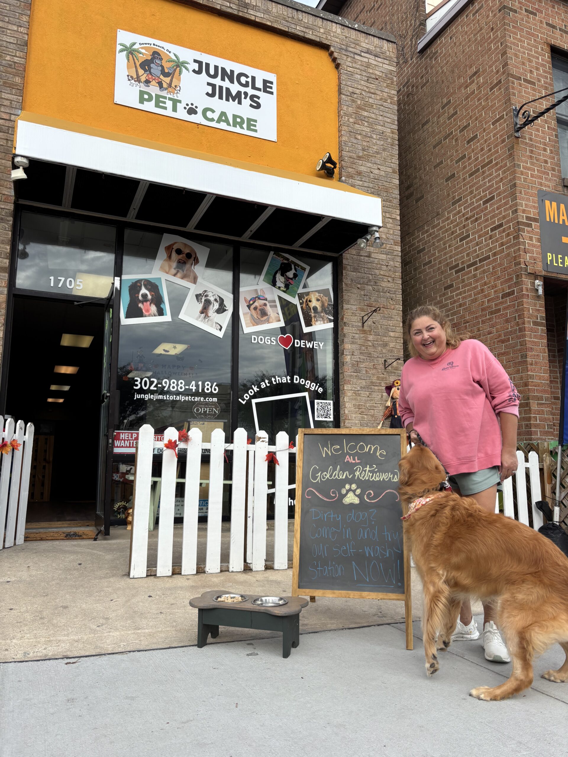 Golden Retriever Festival Dewey Beach 2025 Golden Jubilee